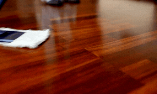 Janitorial Cleaning